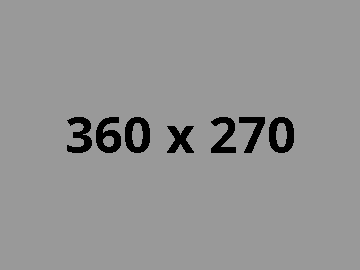 where I can found the sound in this video template?