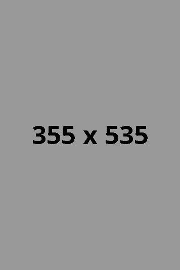 where I can found the sound in this video template?